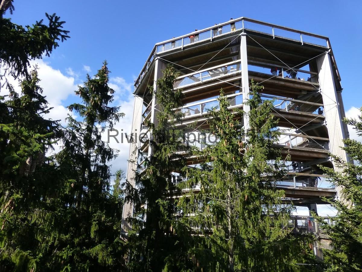 شقة Riviera Lipno 415 ليبنو ناد فلتافو المظهر الخارجي الصورة